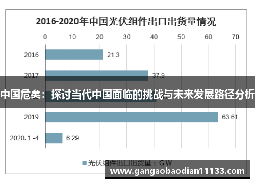 中国危矣：探讨当代中国面临的挑战与未来发展路径分析